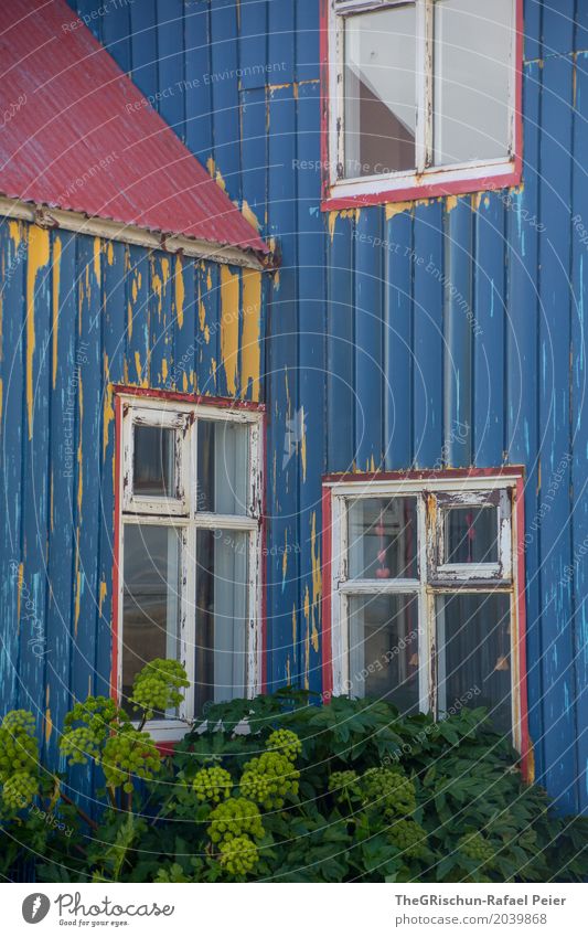 Blue his house Village Yellow Green Red Window Old Colour Flake off Roof Plant Iceland House (Residential Structure) Hut Colour photo Exterior shot Deserted