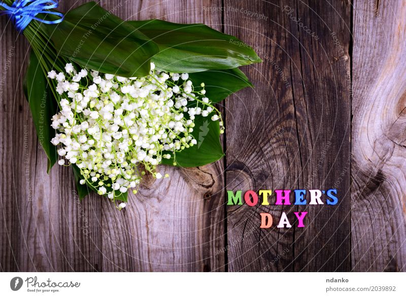 bouquet of white lilies of the valley Beautiful Mother's Day Plant Flower Bouquet Wood Blossoming Bright Small Multicoloured Gray White Happy Lily of the valley