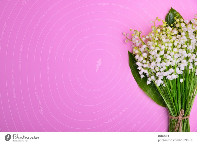 Bouquet of white lilies of the valley on a pink surface Beautiful Valentine's Day Mother's Day Wedding Birthday Plant Flower Bright Small Green Pink White