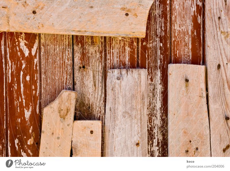 boards Wood Old Broken Brown Wooden board Colour photo Detail Deserted Day Deep depth of field Wooden wall Scrap lumber Remainder Repair Wooden fence