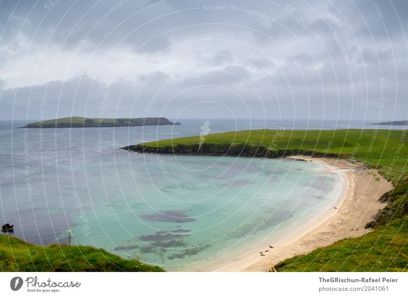 Shetland Environment Nature Blue Gray Green Turquoise White Beach Bay Grass Pasture Bad weather Clouds Sand Water Ocean Animal Considerable Island Colour photo
