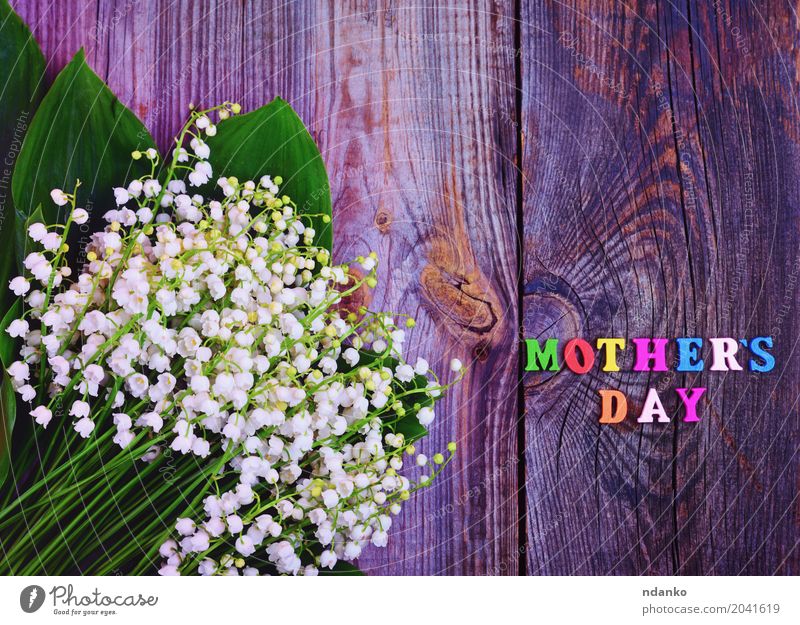 Festive gray wooden background with the inscription Mother's Day Nature Plant Flower Blossom Bouquet Wood Old Blossoming Bright Natural Multicoloured Gray Green
