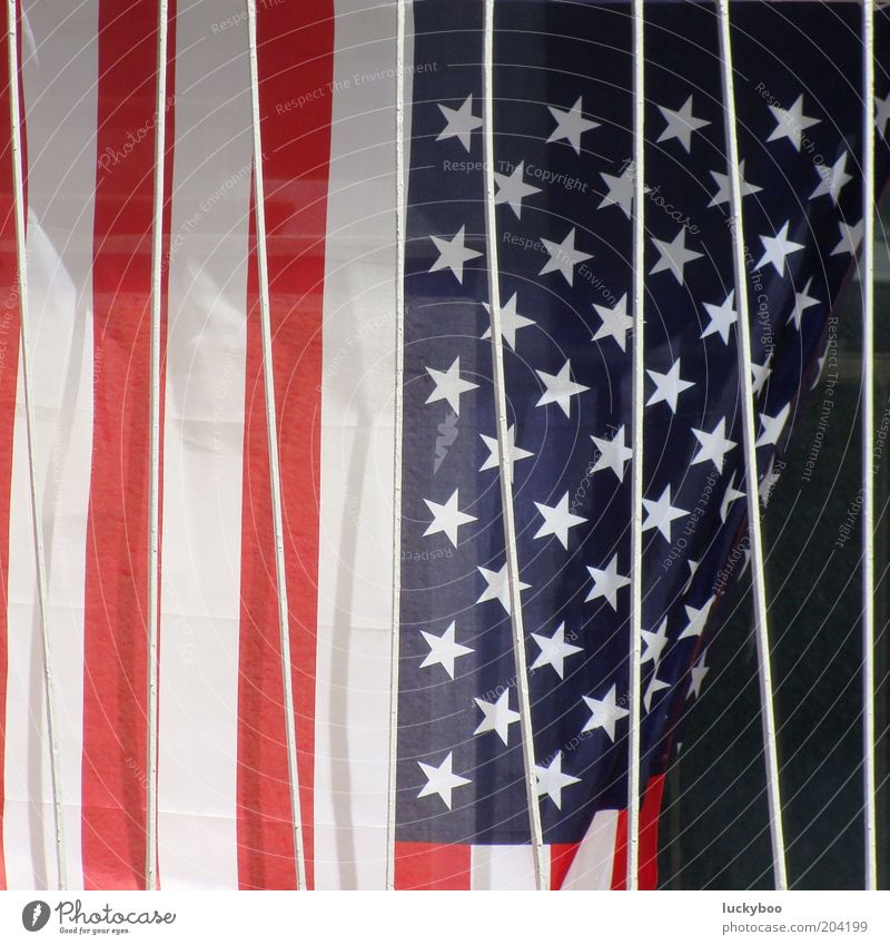 American Stars'n Bars Decoration USA Sign Stripe Flag Star (Symbol) American Flag Red Blue White Colour Might Transience Captured Patriotism Grating