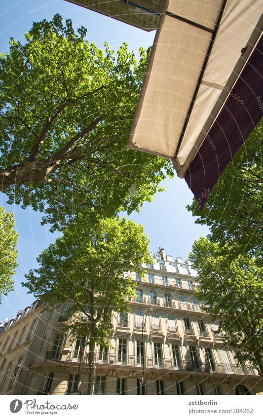 Bd St-Germain France Paris Capital city Avenue House (Residential Structure) Facade Window Glazed facade Architecture Town Sun blind Café Sidewalk café Tree