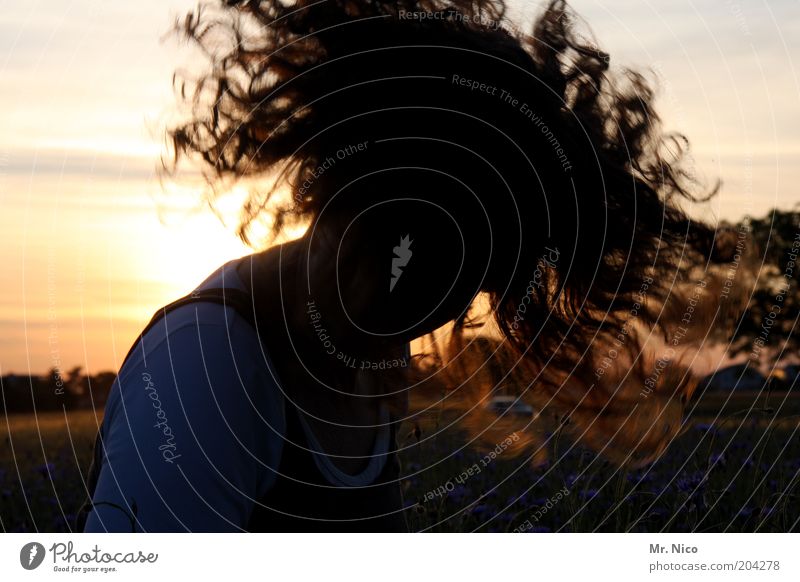 Summer evening lV ( feat.headbanging ) Feminine Woman Adults Head Hair and hairstyles Nature Beautiful weather Red-haired Curl Movement Crazy Wild Ecstasy