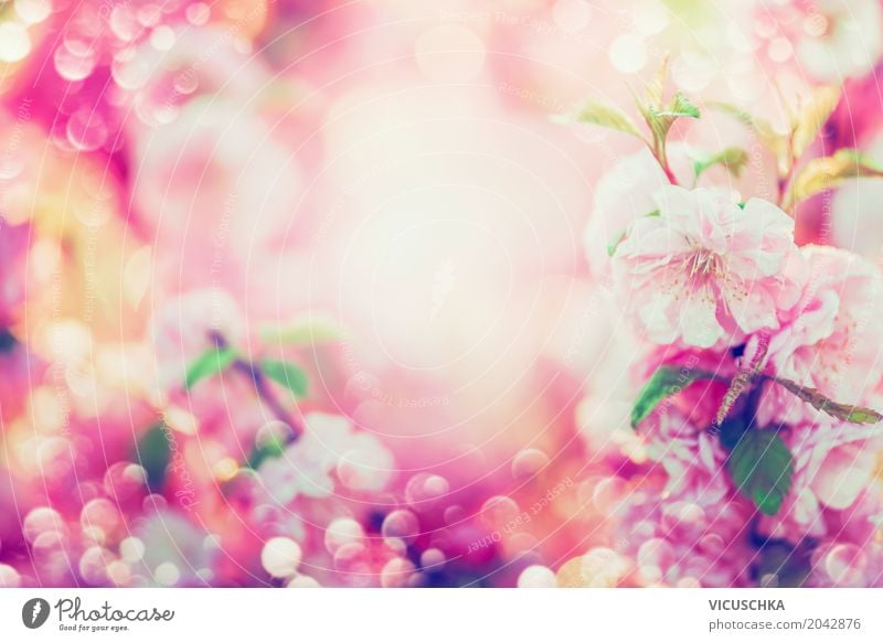 Beautiful summer flowers Lifestyle Design Summer Garden Nature Plant Spring Flower Leaf Blossom Park Blossoming Soft Yellow Pink Background picture Frame Blur