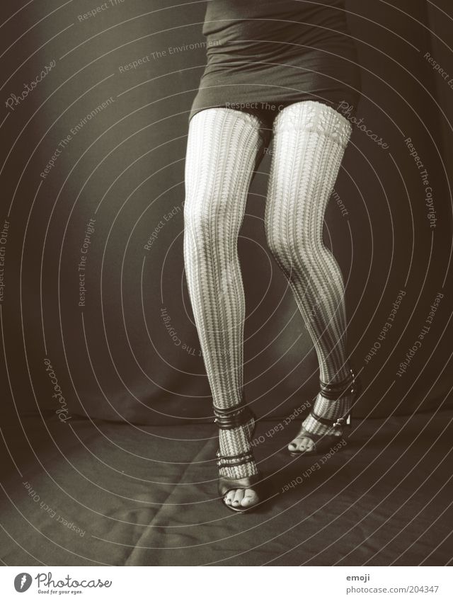 Woman Wearing Black Stockings Stock Photo - Image of clothing