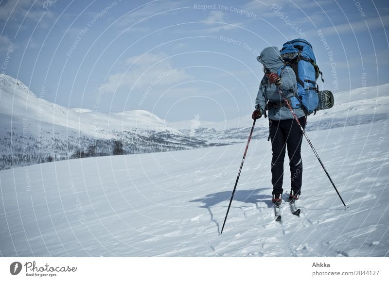 Skier with rucksack in a snowy landscape, looking backwards Senses Calm Vacation & Travel Adventure Winter Winter vacation Skis Young woman Youth (Young adults)
