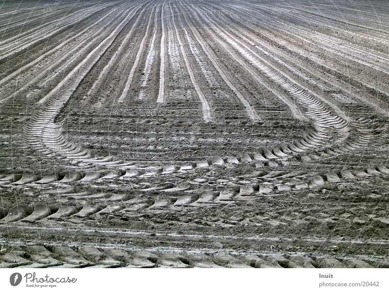 tracks Field Agriculture Tracks Furrow Transport Tractor track