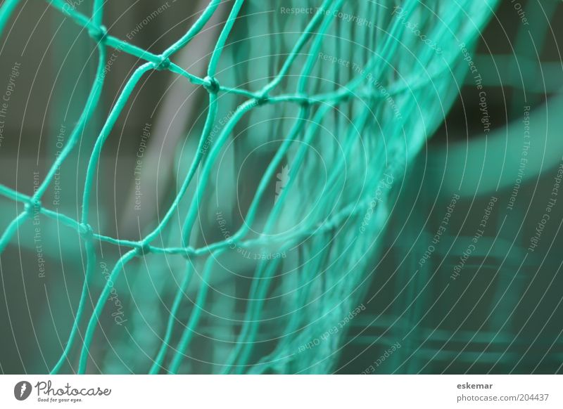 goal Goal Green Movement Net Knot Node Interlaced intertwined Soccer Goal Colour photo Multicoloured Exterior shot Close-up Pattern Deserted Copy Space right
