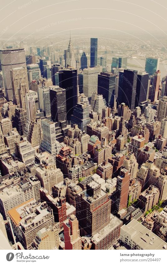 Big city canyons Advancement Future New York City Manhattan USA Americas Downtown Skyline Overpopulated House (Residential Structure) High-rise Bank building