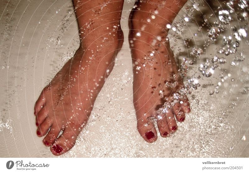 shower feet Nail polish Wellness Well-being Feet Water Drops of water Swimming & Bathing Red Bird's-eye view Copy Space left Toes Take a shower Wash Barefoot
