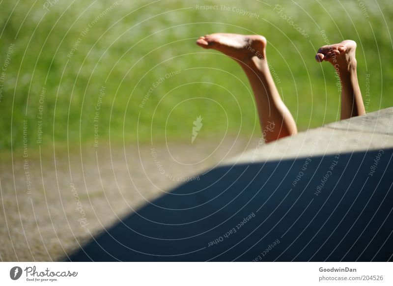 Let it loosen. Human being Legs Feet 1 Nature Gray Green Moody Colour photo Exterior shot Light Shadow Deep depth of field Go crazy Handstand Woman's leg