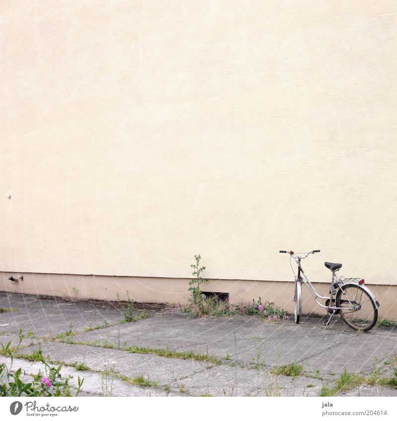 bicycle Plant Building Wall (barrier) Wall (building) Facade Bicycle Yellow Gray Colour photo Exterior shot Deserted Copy Space top Copy Space middle Day