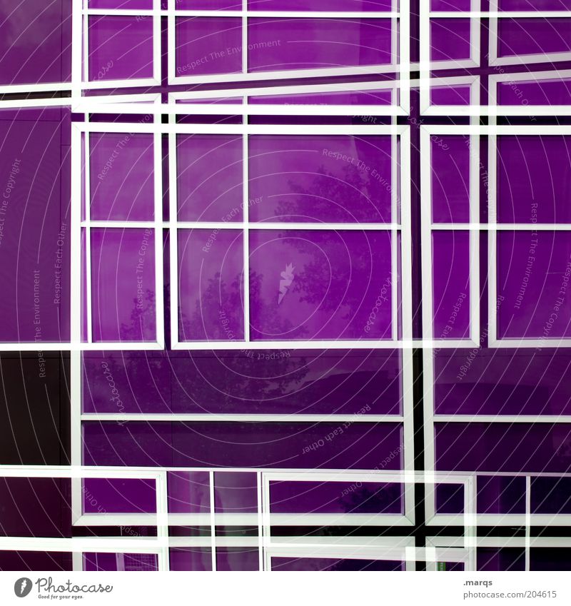 maze Design Line Exceptional Crazy Violet Chaos Colour Background picture Muddled Optical puzzle Cladding Glas facade Reflection Asymmetry Geometry Symmetry