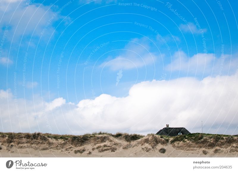 sea view Landscape Sky Clouds Grass marram grass Coast Beach Sand Blue Green Freedom Denmark Jutland Colour photo Exterior shot Deserted Day Sunlight