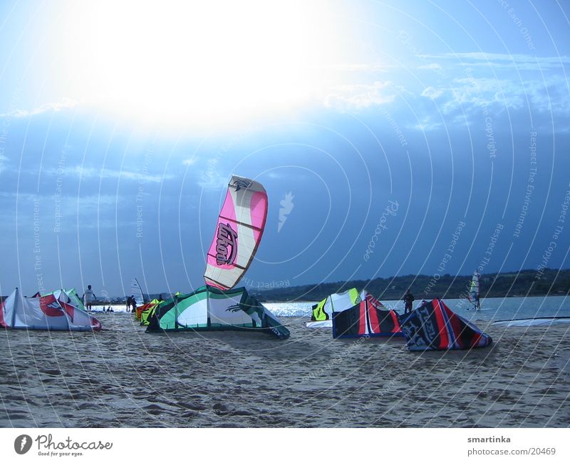 kitecity Kiting Aquatics Sunset Ocean Light Back-light Portugal Time Free Release To enjoy Extreme sports Water kiters heaven pink takoon Room Flying