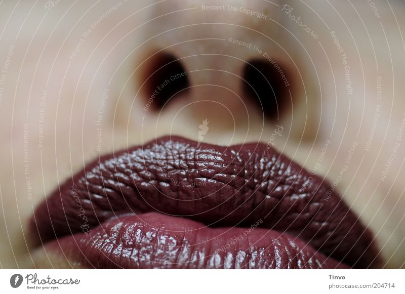 kiss-proof (?) Feminine Woman Adults Lips 1 Human being Glittering Pout Lipstick Wearing makeup Alluring raspberry mouth strawberry mouth Nostril Colour photo
