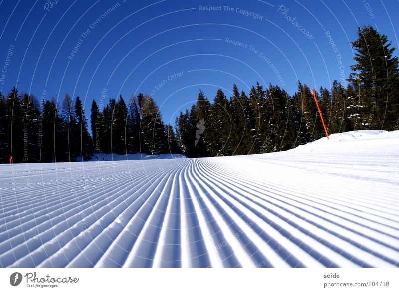 morning hour has fresh slopes in its mouth Winter sports Ski run Nature Landscape Cloudless sky Ice Frost Snow Alps Mountain Infinity Tall Beautiful Cold Wet