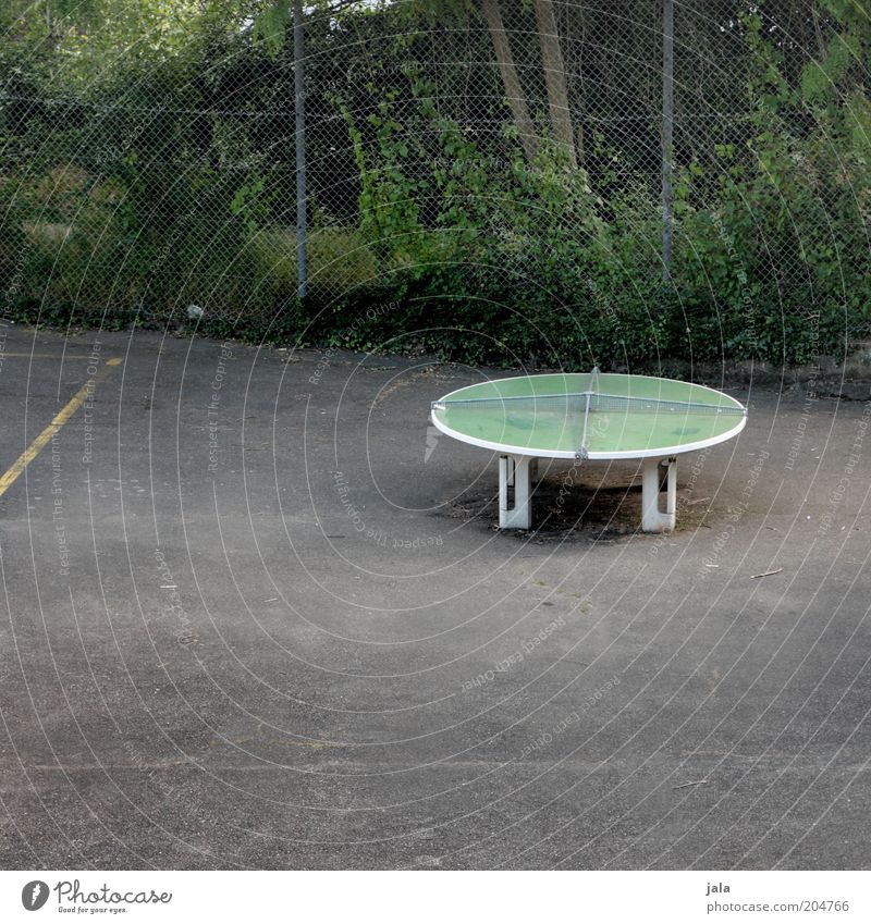 How about we play a round? Sports Funsport Leisure and hobbies Table tennis Table tennis table Sporting Complex Places Fence Gloomy Round Colour photo