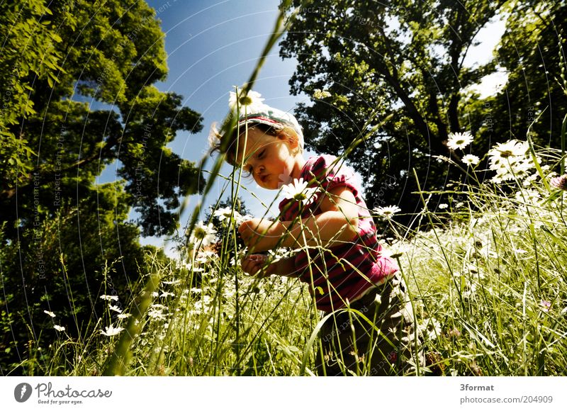 garden Child Toddler 1 Human being 1 - 3 years Nature Summer Beautiful weather Flower Grass Garden Park Observe Touch Blossoming Think Fragrance Discover Happy