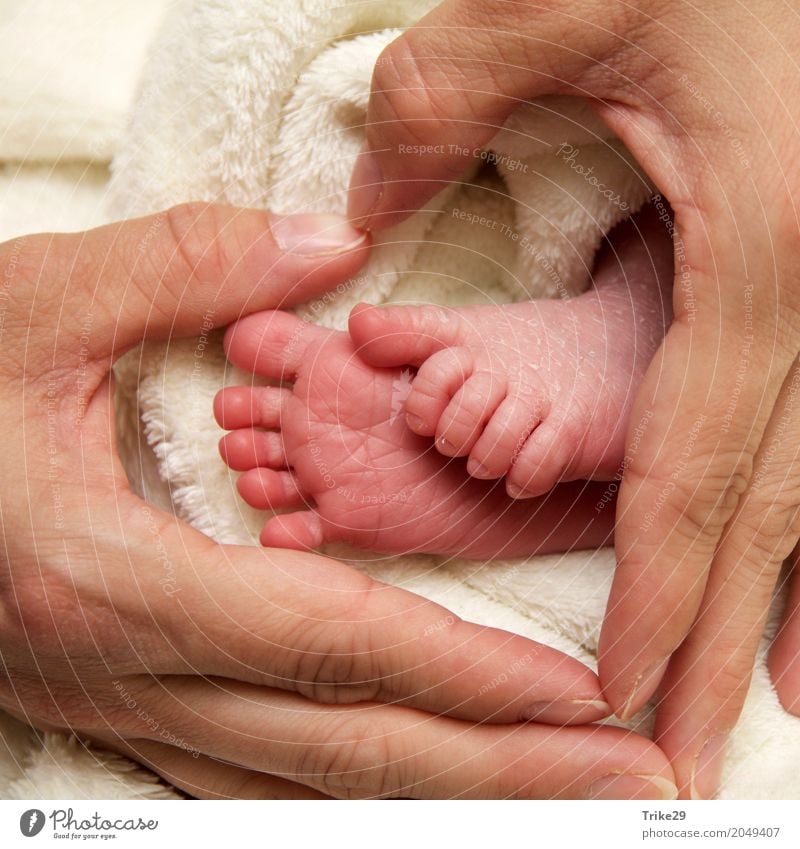 Royalty-Free photo: Person holding baby's foot