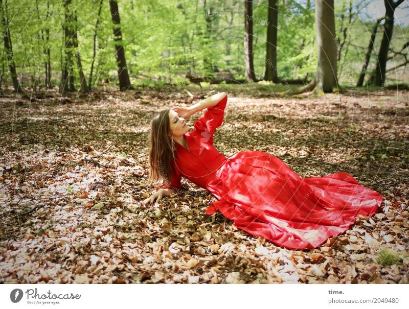 . Feminine Woman Adults 1 Human being Beautiful weather Tree Leaf Deciduous forest Forest Dress Brunette Long-haired Observe To hold on Lie Looking