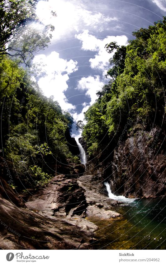 bottle of life Nature Landscape Water Sky Clouds Virgin forest Island Waterfall Blue Green Vacation & Travel Thailand Tourism Colour photo Exterior shot