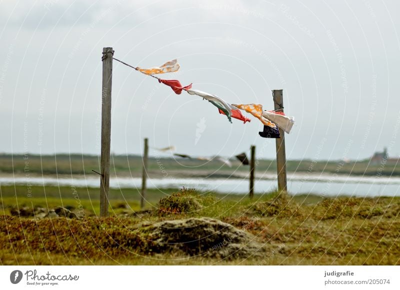 Iceland Environment Nature Landscape Water Sky Weather Wind Grass Lakeside Movement Hang Multicoloured Rope Wooden stake Textiles Cloth Colour photo