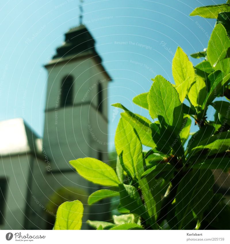 faith. and hope. Calm Summer Environment Sky Spring Plant Bushes Leaf Church Manmade structures Architecture Religion and faith Baroque Leaf green Make green