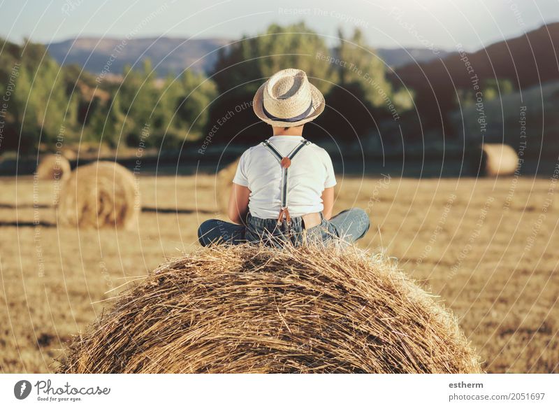 Back view of a Pensive boy in the straw field Lifestyle Vacation & Travel Adventure Human being Child Toddler Boy (child) Infancy 1 3 - 8 years