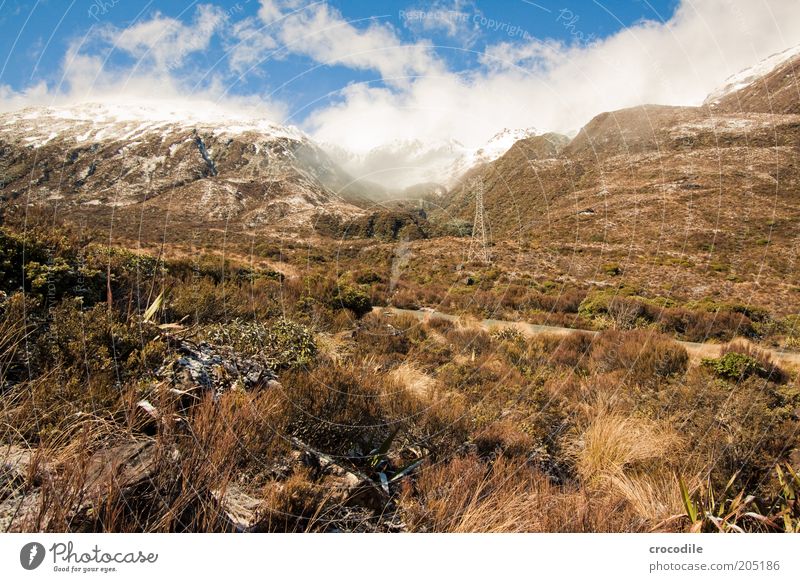 New Zealand 129 Environment Nature Landscape Elements Beautiful weather Snow Plant Grass Bushes Alps Mountain Peak Snowcapped peak Arther's Pass Exceptional