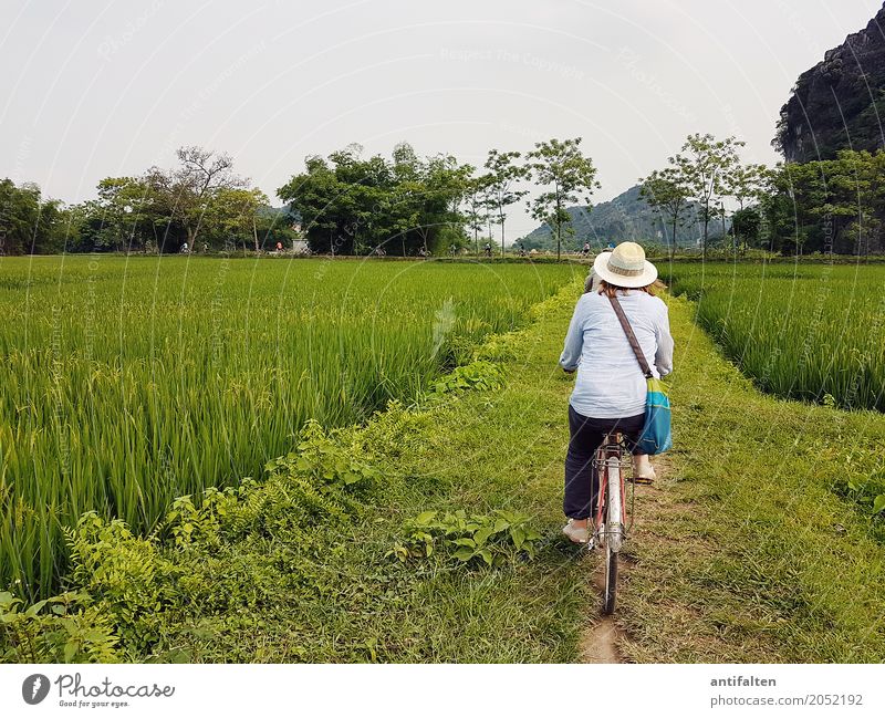 Beautiful bike route Vacation & Travel Tourism Trip Adventure Far-off places Freedom Paddy field Cycling Feminine Woman Adults Body Back Legs Feet 1 Human being