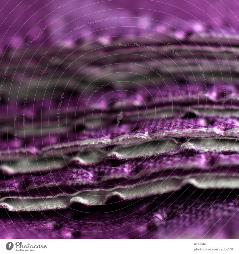 III Violet Napkin Cloth Paper Material Blur Stack Section of image Decoration Structures and shapes Abstract Detail Colour photo Heap Consecutively