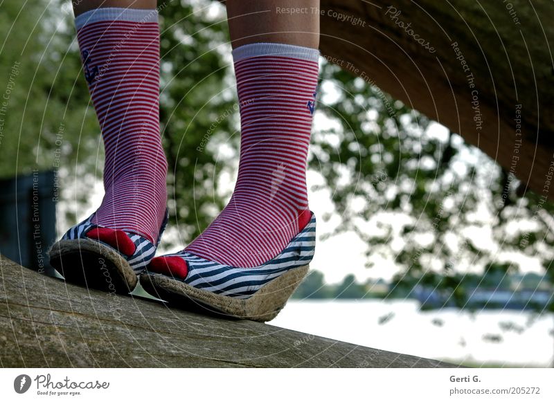 Girl's feet in striped socks Stock Photo