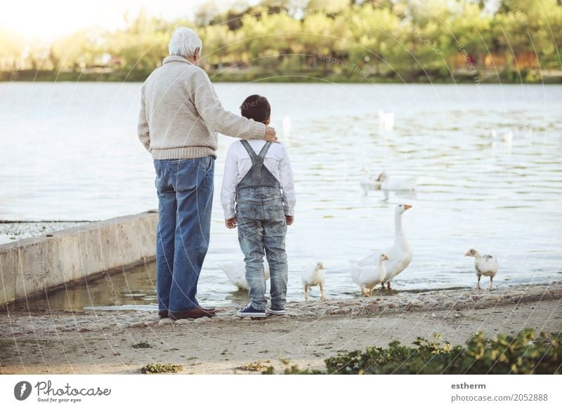 Grandfather With His grandson on the lake. Back view Lifestyle Leisure and hobbies Human being Masculine Child Toddler Boy (child) Male senior Man Grandparents