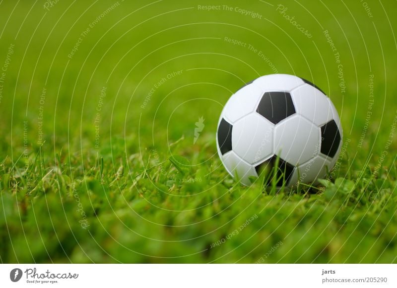 soccer Leisure and hobbies Sports Ball Colour photo Exterior shot Close-up Deserted Day Deep depth of field Worm's-eye view Grass surface Foot ball 1 Sphere