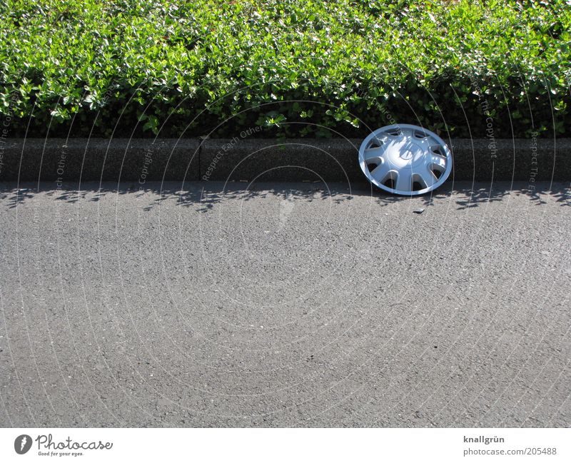 Pick me up! Plant Ground cover plant Traffic infrastructure Street Traffic lane Curbside Roadside Curbstone Wheel cover decorative panel Lie Round Under Gray