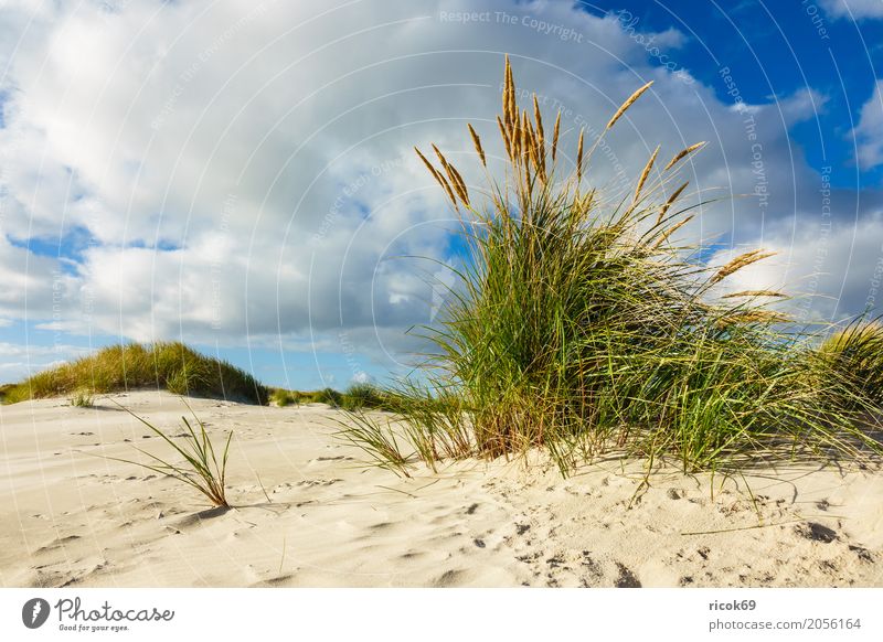 Landscape in the dunes on the island of Amrum Relaxation Vacation & Travel Tourism Beach Ocean Island Nature Sand Clouds Autumn Coast North Sea Blue Yellow Dune