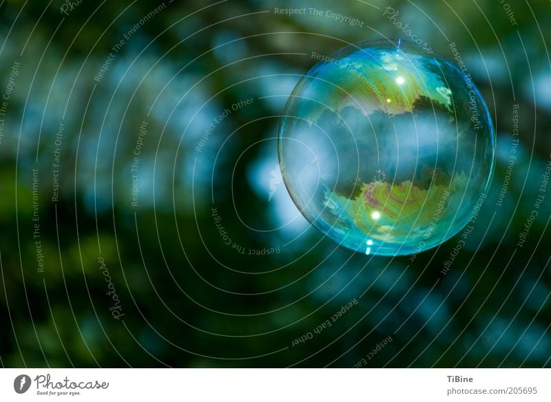 The world in a soap bubble Blue Green Dream Colour photo Exterior shot Experimental Deserted Copy Space left Reflection Shallow depth of field