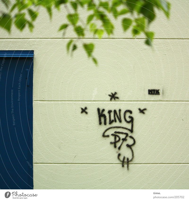 We have a new federal bulge! Door Graffiti Leaf Tree Tagger Sprayed king Parallel Green Blue Exterior shot Star (Symbol) Letters (alphabet) Sign Entrance