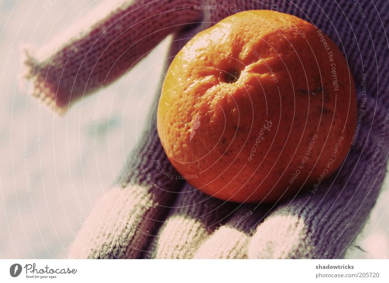 No title Food Fruit Vegetarian diet Healthy To enjoy Colour photo Subdued colour Gloves Stop Beige Orange Tangerine