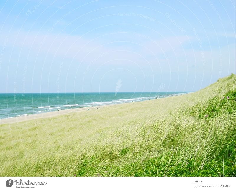 sylt-beach Sylt Ocean Beach Beach dune