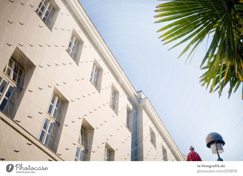 Hellraiser facade Far-off places Art Sky Cloudless sky Beautiful weather Plant Exotic Palm tree Palm frond Bremen Building Wall (barrier) Wall (building) Facade