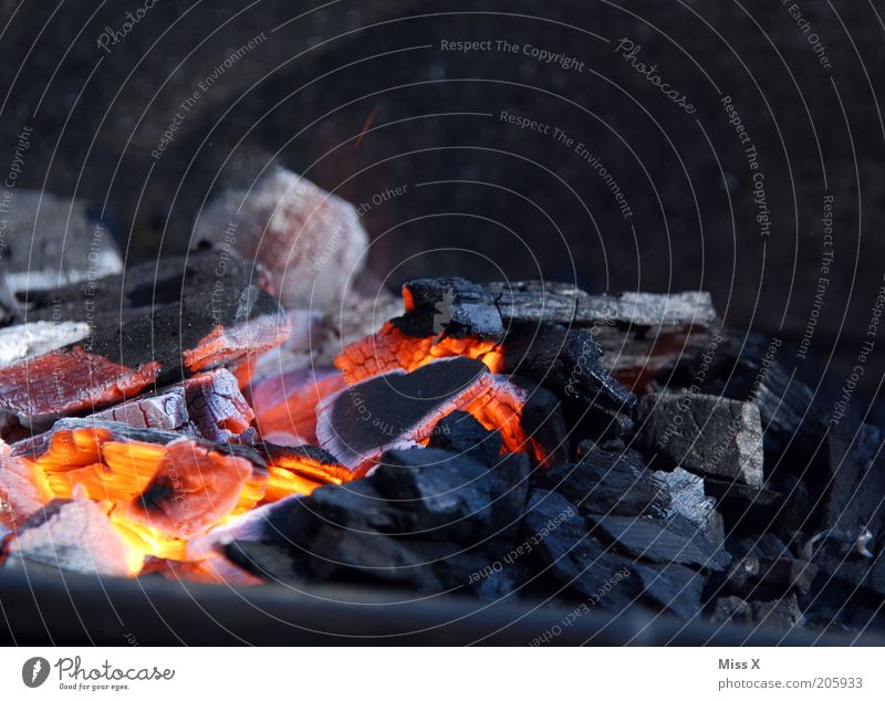 Summer is for barbecuing - a Royalty Free Stock Photo from Photocase
