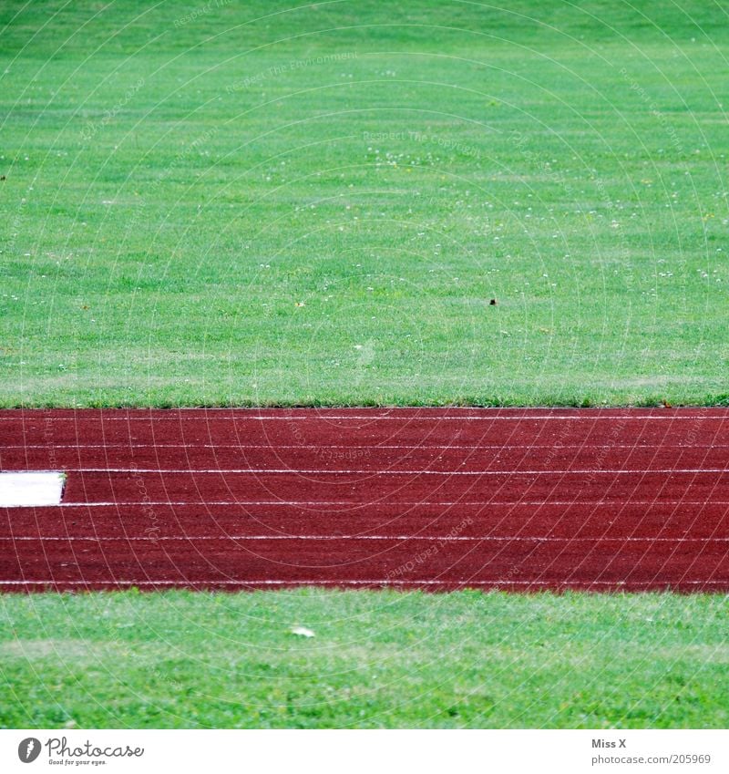 green red green Sports Track and Field Sporting Complex Football pitch Stadium Racecourse Grass Meadow Green Red Sporting grounds Stripe Abstract Colour photo