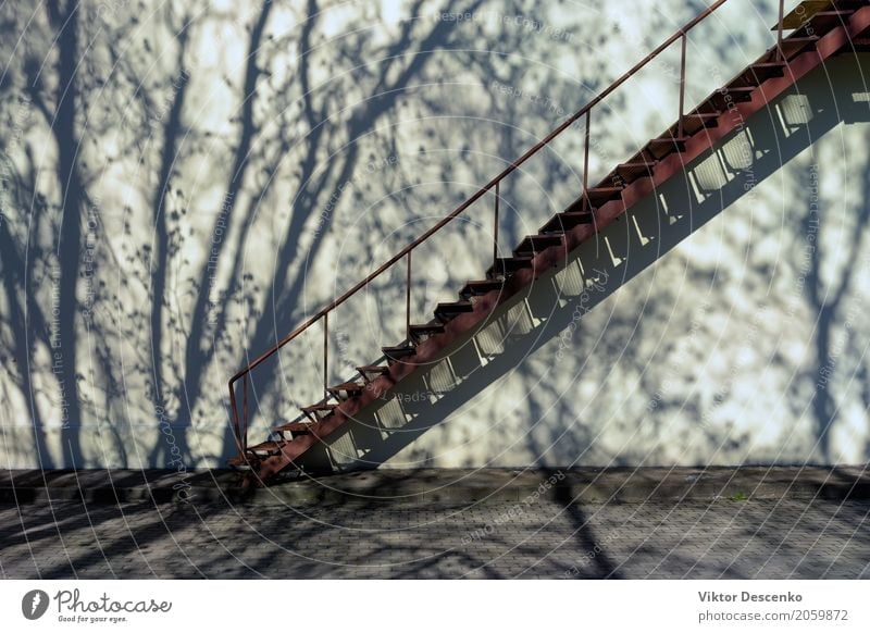 Stairs up the wall with shadow Design House (Residential Structure) Art Nature Beautiful weather Tree Leaf Downtown Building Architecture Facade Street Stone