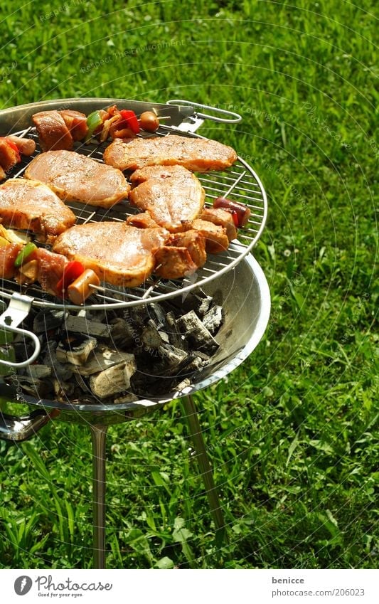 BBQ Churrasco Barbecue (event) Meat skewers Grass Silver Deserted Nutrition Summer Exterior shot Charcoal (cooking) Coal charcoal grill Fire Hot