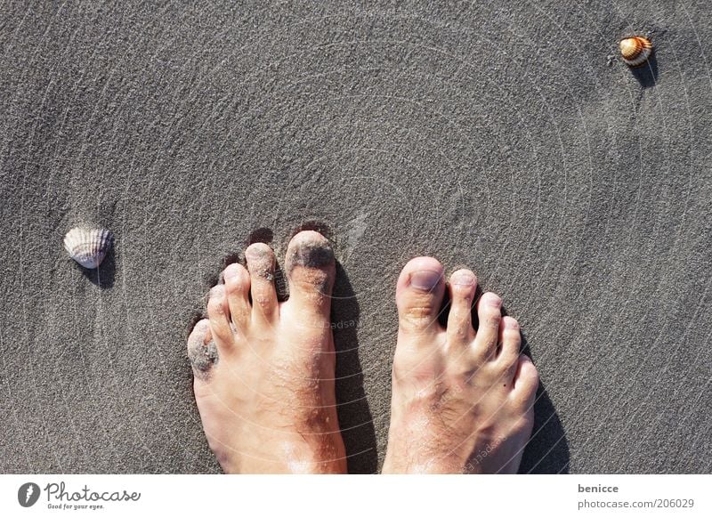 Feet in the sand Toes Beach Ocean Vacation & Travel Emotions Sand Bird's-eye view Sandy beach Mussel Search Man Self portrait Vacation photo Travel photography