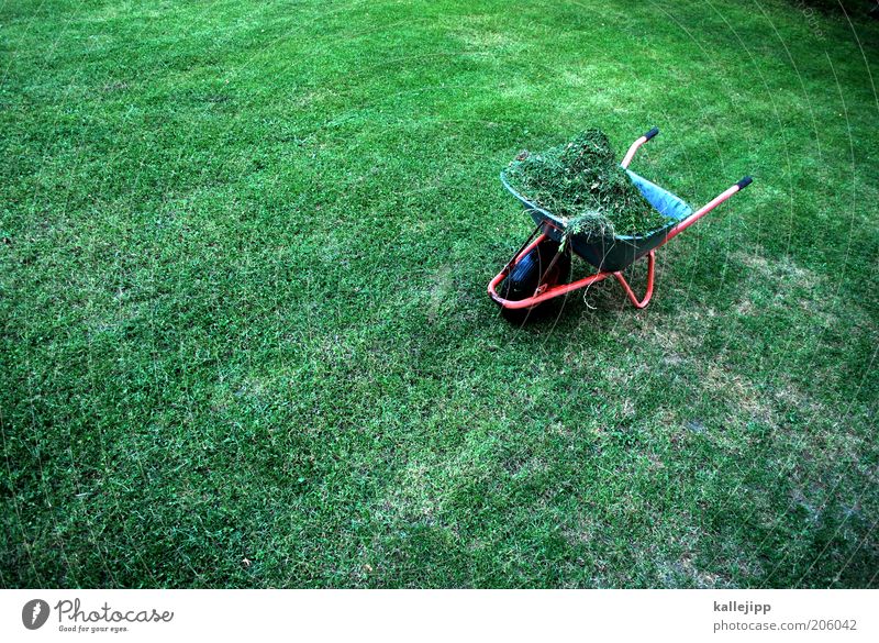 harvest 23 Work and employment Gardening Environment Nature Plant Summer Climate Grass Wheelbarrow Hay Full Harvest Mow the lawn Heap Colour photo Multicoloured